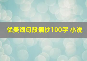 优美词句段摘抄100字 小说